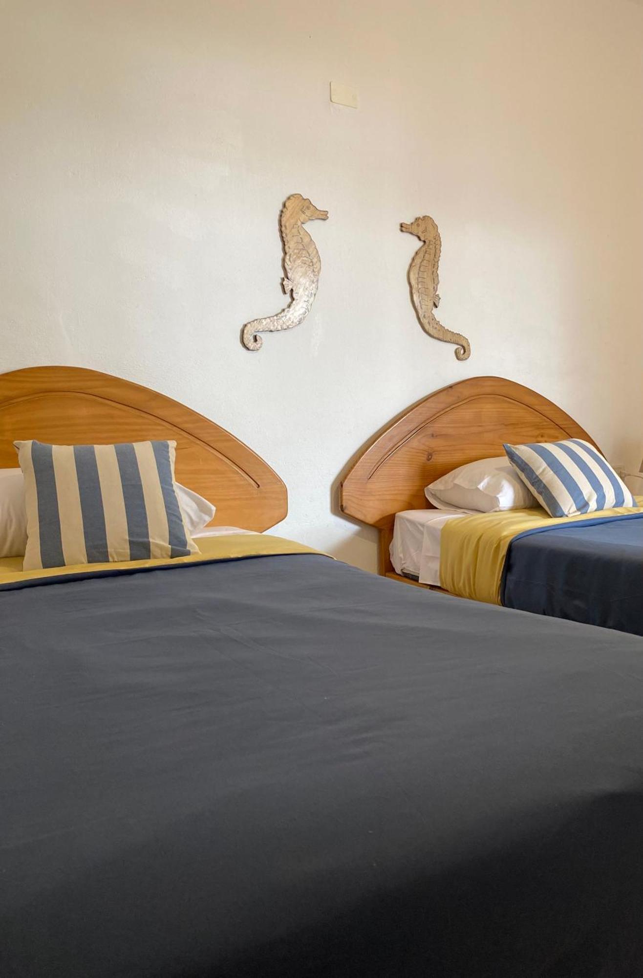 Ravenala Paracas Hostel Zewnętrze zdjęcie